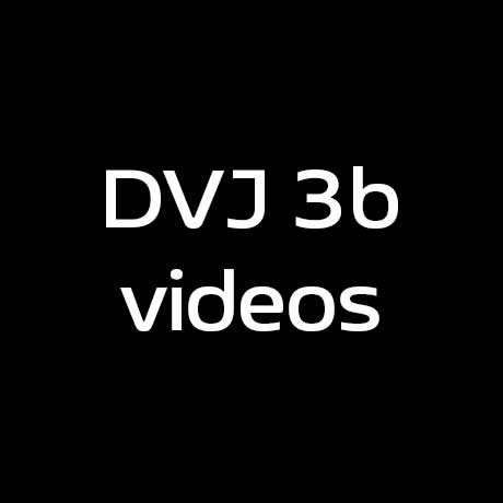 Dvj 3B Videos 30 12 2025