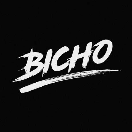 DJ Bicho